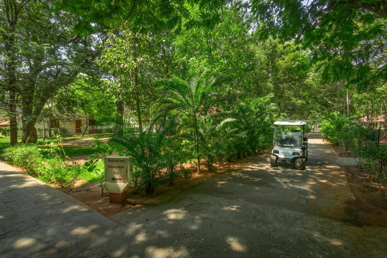 فندق ذا هرتيدج مادوراي المظهر الخارجي الصورة A street in the village